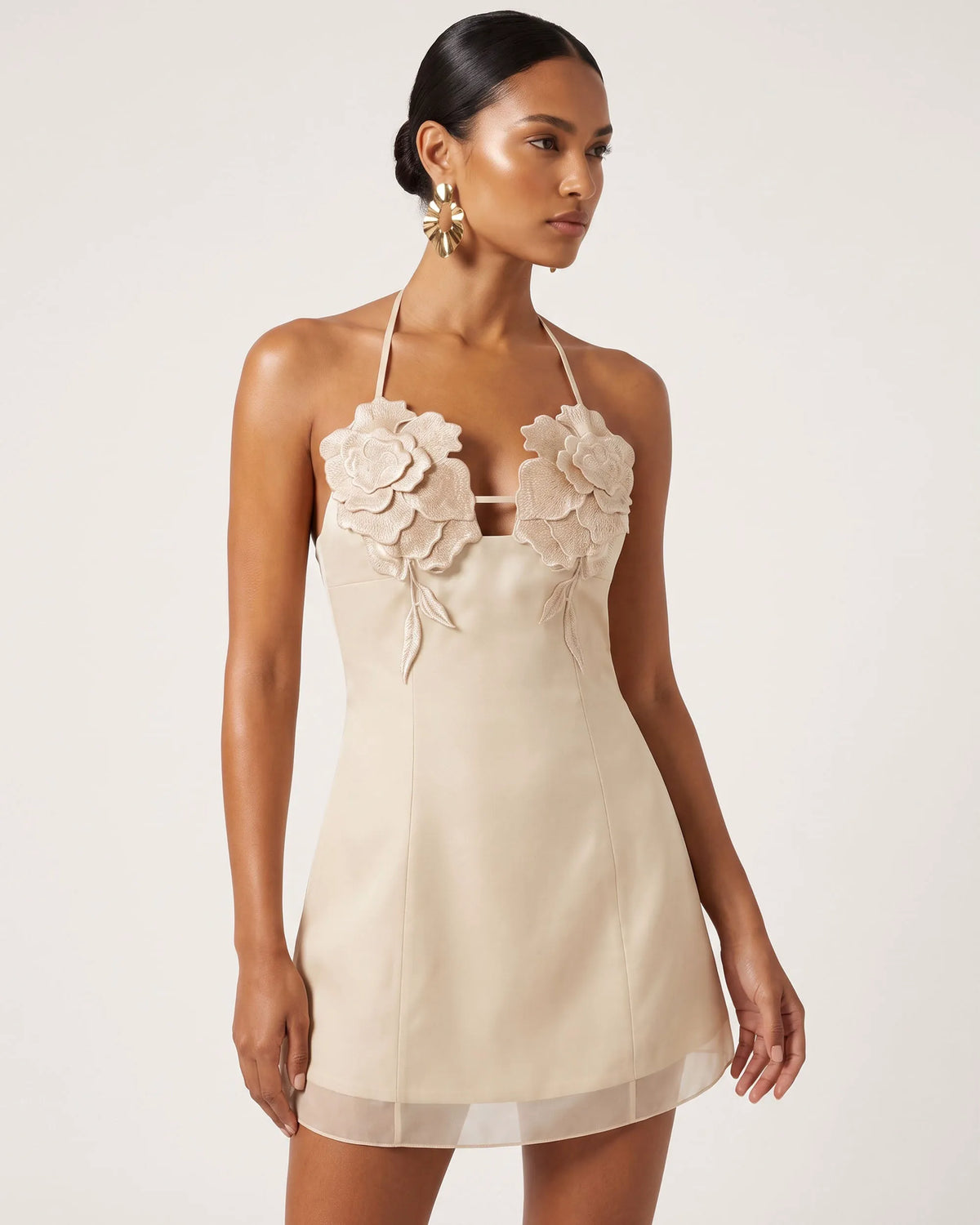 Flower Embroidered Mini Dress - Light Champagne