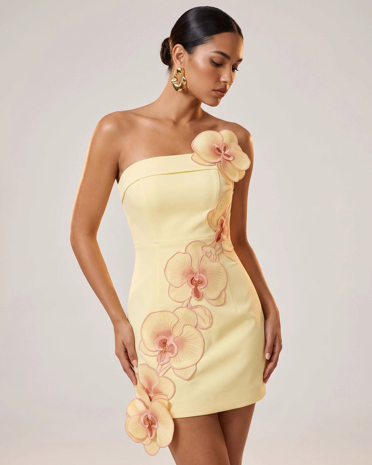 Orchid Embroidered Floral Appliqué Strapless Mini Dress - Light Yellow